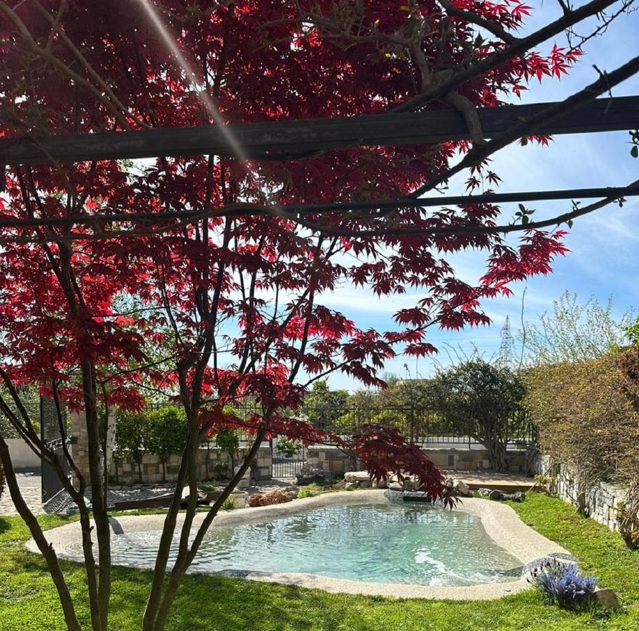 Domus Parva - Villa Con Bio-Piscina, Spa Privata E Appartamenti Panoramici Bacoli Zewnętrze zdjęcie